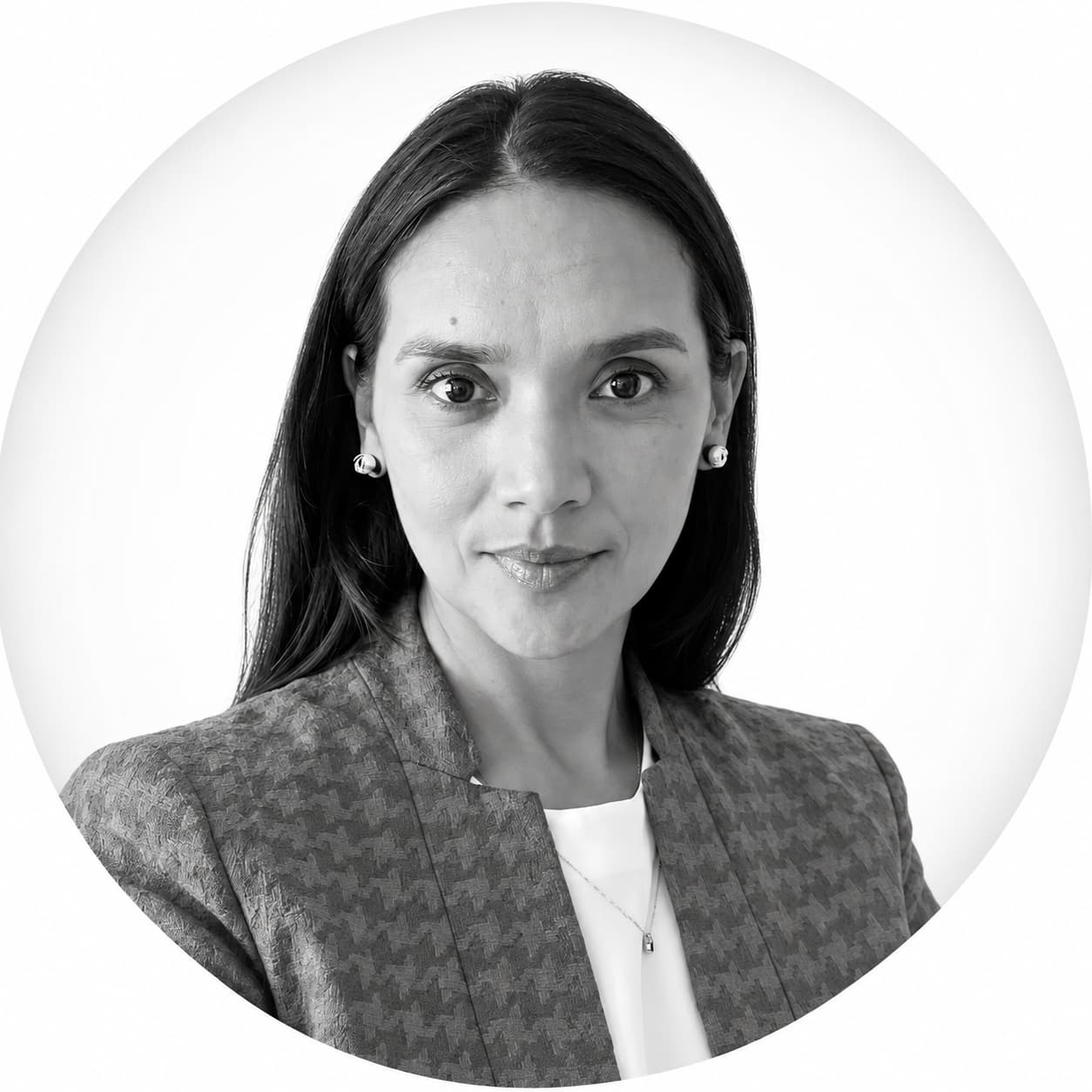 Ejecutiv@ Smart Reloncaví